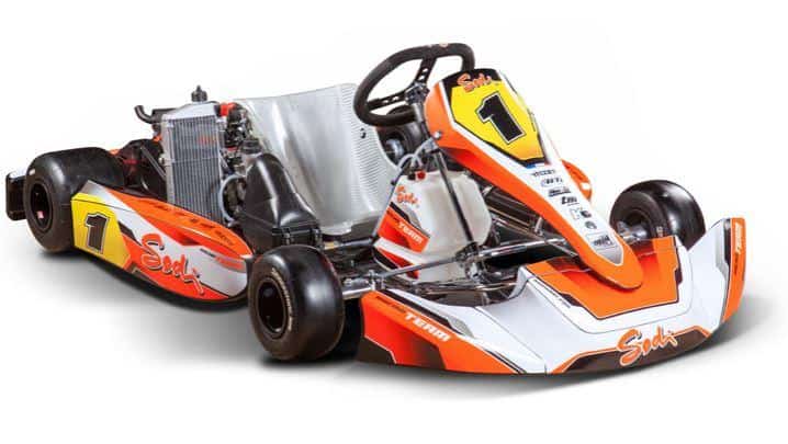 8 Different Go-Kart Racing Classes Explained | GoKartLife